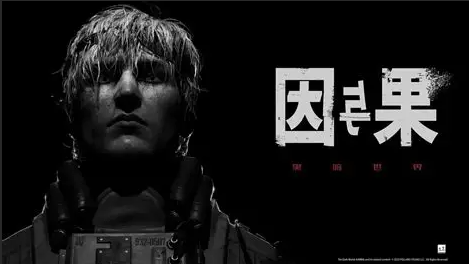 因与果/Cause and Effect
